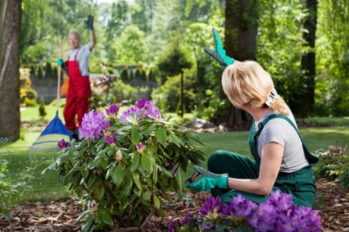 Soft landscaping work with turf and planting in an Alperton garden