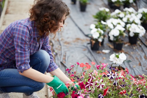 Front garden landscaping and waste clearance in Alperton