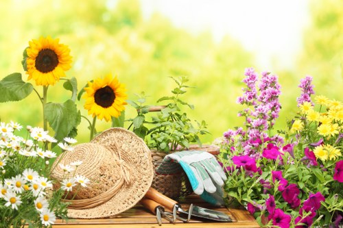 Reusable plants and materials being prepared for charity donation