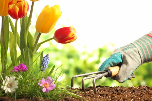 Low-maintenance garden soft landscaping for a home in Alperton